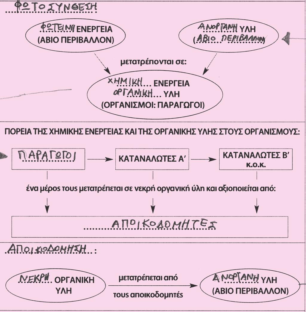 Bιβλίο Eκπαιδευτικού Β. Να συνδυάσετε τα στοιχεία και των τριών παραπάνω διαγραμμάτων και να δημιουργήσετε ένα ενιαίο που θα τα περιλαμβάνει. 2.