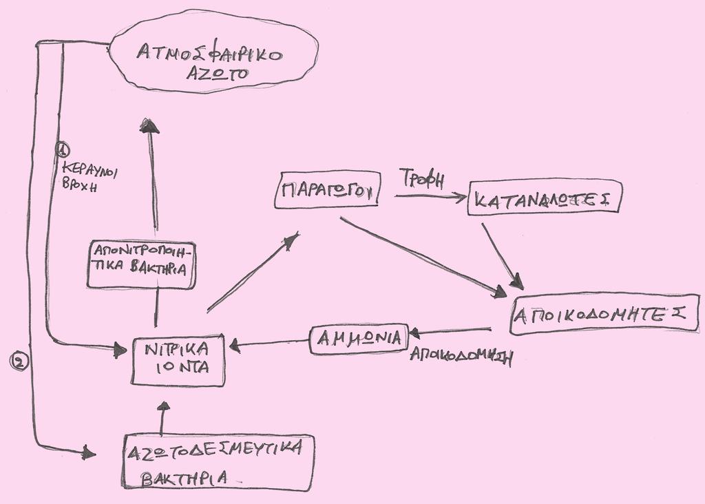 αζώτου, χρησιμοποιώντας βέλη που να δείχνουν την πορεία του μέσα στο οικοσύστημα, καθώς και τους