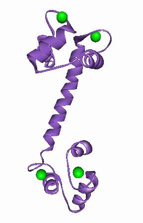 Ca 2+