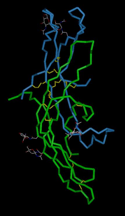 GPCRs γιοθμπνςηεσκηθχκ μνμμκχκ GPCRs - 1C αβ Οη