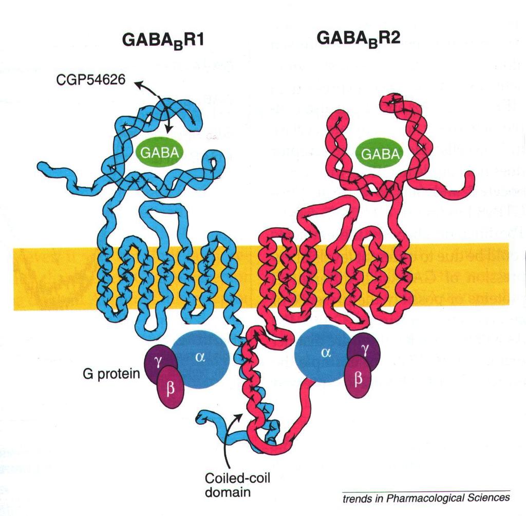 GPCRs μη μπμίμη