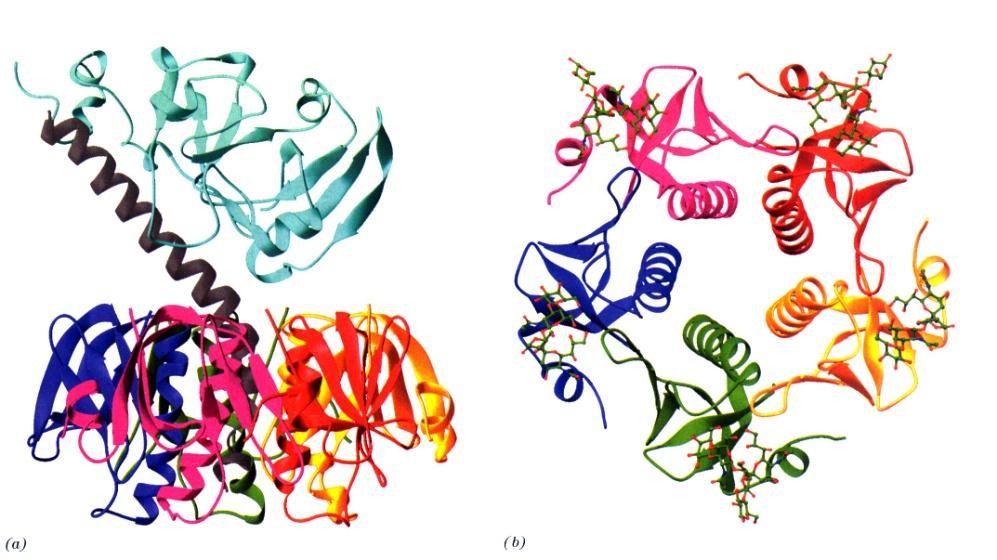 Α 1 Β 5 Β 1 Α 2 Β 2 Β 4 Β 3 Β 1 Β 5 Σμλίκε
