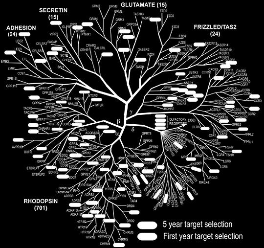 ηεκ Οηθμγέκεηα Α ακήθμοκ μη GPCRs βημγεκχκ αμηκχκ (αδνεκαιίκε, κημπαμίκε, ζενμημκίκε, αθεηοιμπμιίκε, ηζηαμίκε), μη GPCRs μηθνχκ