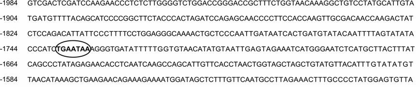 Μέθοδοι Έχοντας εις γνώσιν τη ρυθµιστική αλληλουχία του γονιδίου της HARP [107]