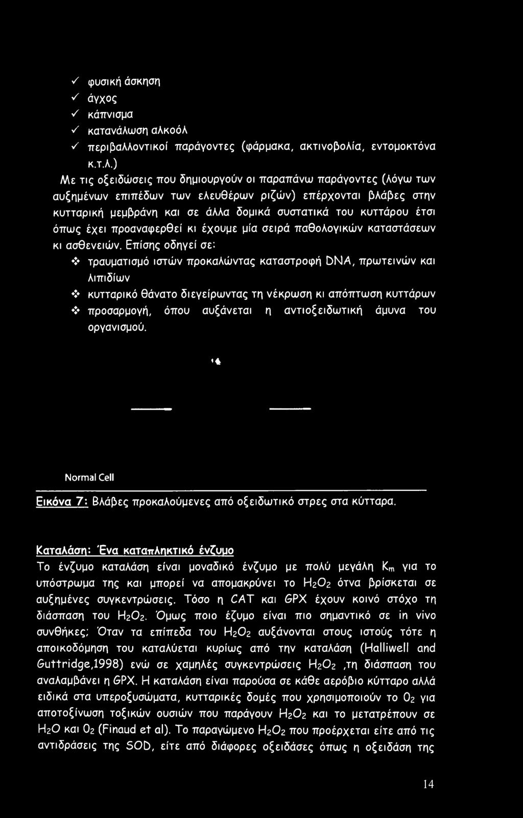 οόλ ν' περιβαλλοντικοί παράγοντες (φάρμακα, ακτινοβολία, εντομοκτόνα κ.τ.λ.) Με τις οξειδώσεις που δημιουργούν οι παραπάνω παράγοντες (λόγω των αυξημένων επιπέδων των ελευθέρων ριζών) επέρχονται