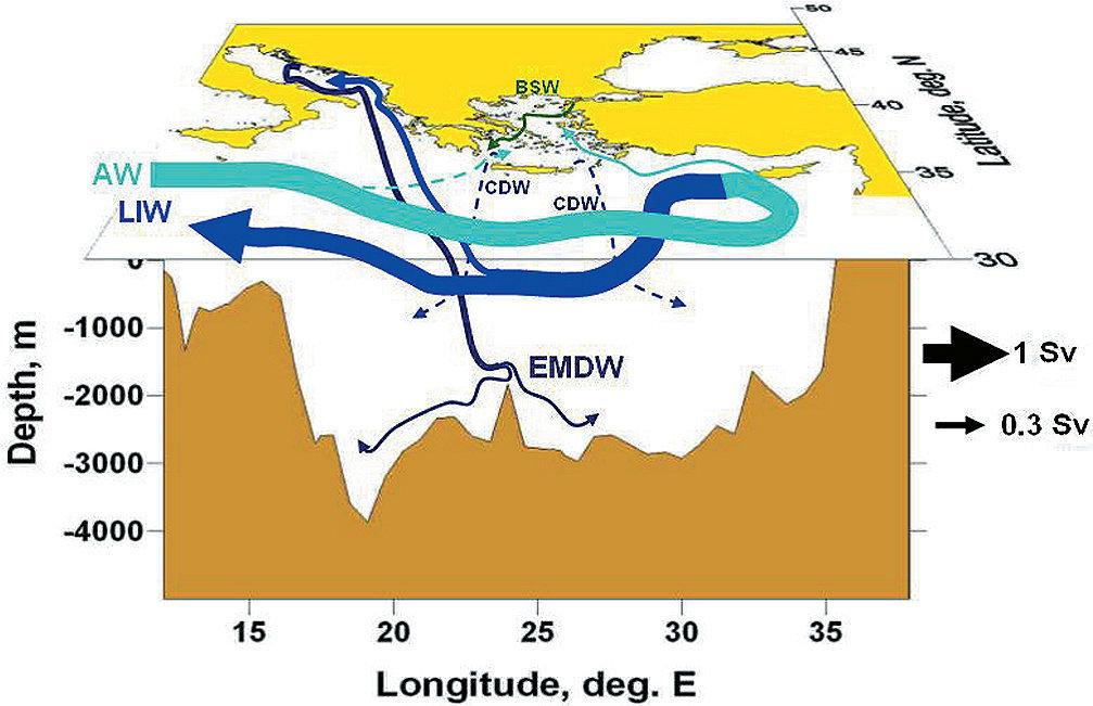 Κεφάλαιο 1 Intermediate Water LIW), το οποίο σχηµατίζεται στο ανατολικό όριο της Μεσογείου στη δύνη της Ρόδου (Σχήµα 1.5). Σχήµα 1.