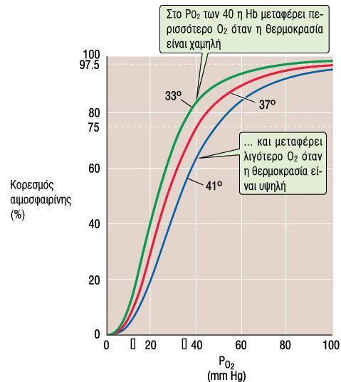 Αύξηςη τησ θερμοκραςύασ: μετατόπιςη τησ καμπύλησ κορεςμού προσ τα δεξιϊ και μειωμϋνη ςυγγϋνεια με το οξυγόνο και η αιμοςφαιρύνη αποδύδει