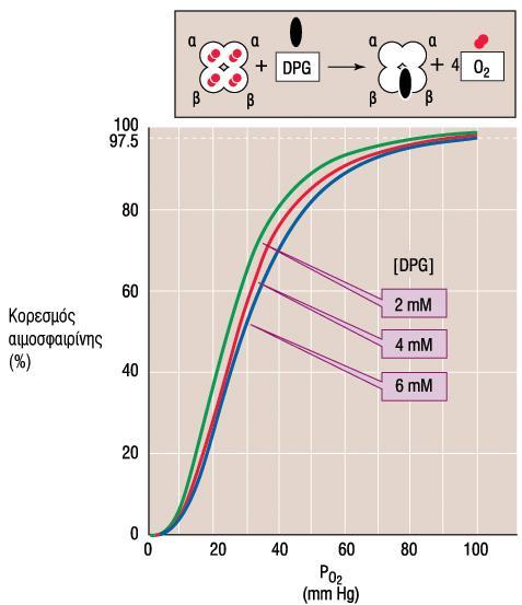 Boron W.F., and Boulpaep E.L., Ιατρική Φυςιολογία, Αθήνα 2011 DPG: Παρϊγεται από τα ερυθροκύτταρα κατϊ τη γλυκόλυςη.