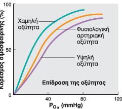 Αύξηςη τησ ςυγκϋντρωςησ Η + : μετατόπιςη τησ καμπύλησ κορεςμού προσ τα δεξιϊ και μειωμϋνη ςυγγϋνεια με το οξυγόνο και η αιμοςφαιρύνη αποδύδει περιςςότερο Ο 2.