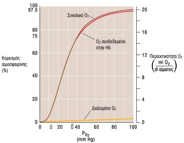 Στισ μεςαύεσ τιμϋσ PO2, οι αυξόςεισ τησ PO2 οδηγούν ςε απότομεσ αυξόςεισ ςτη δϋςμευςη Ο2 που αντιπροςωπεύουν τη κατϊςταςη R τησ Hb.