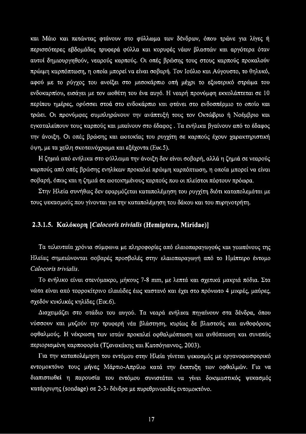 Τον Ιούλιο και Αύγουστο, το θηλυκό, αφού με το ρύγχος του ανοίξει στο μεσοκάρπιο οπή μέχρι το εξωτερικό στρώμα του ενδοκαρπίου, εισάγει με τον ωοθέτη του ένα αυγό.