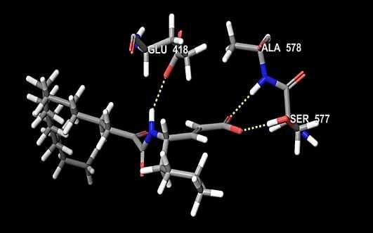 Σχήμα 7.6: Αλληλεπιδράσεις, μέσω δεσμών υδρογόνου, μεταξύ του μορίου ΑΧ074 και των αμινοξέων Ala578, Ser577, Glu418 στο ενεργό κέντρο της ανθρώπινης κυτοσολικής φωσφολιπάσης. Πίνακας 7.
