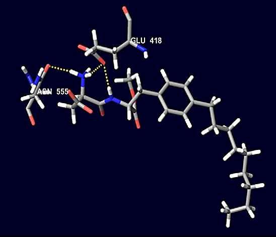 Σχήμα 8.20: Αλληλεπίδραση, μέσω δεσμών υδρογόνου, του μορίου V με τα αμινοξέα Glu418 και Asn555 Πίνακας 8.14: Αλληλεπιδράσεις που παρουσιάζονται στο Σχήμα 8.20. Παρουσιάζονται τα άτομα του μορίου V, αριθμημένα σύμφωνα με το Σχήμα 8.