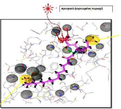 (β) Δημιουργία φαρμακοφόρου με βάση την πιθανή βιοδραστική διαμόρφωση του προσδέματος στο σύμπλεγμα προσδέματος-βιολογικού στόχου (structurebased). Σχήμα 3.
