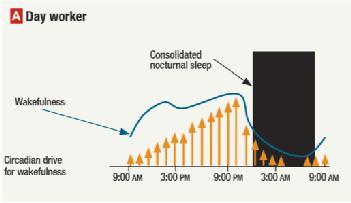 Διαταραχή ύπνου λόγω κυλιόμενου ωραρίου εργασίας Διαγνωστικά κριτήρια