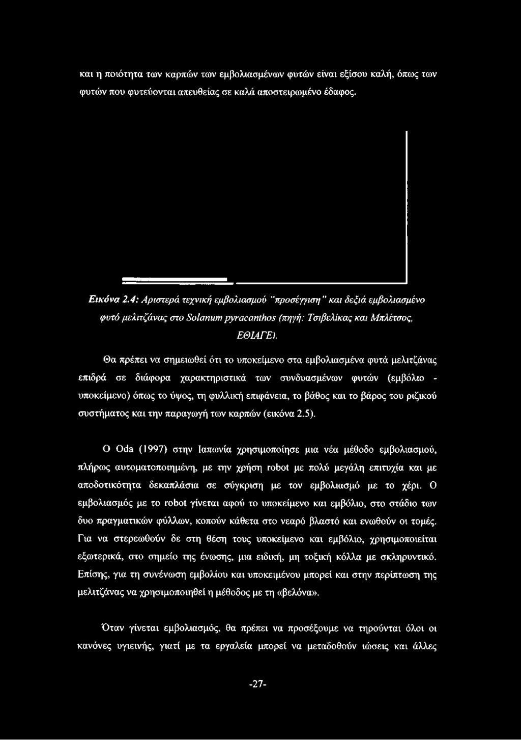 και η ποιότητα των καρπών των εμβολιασμένων φυτών είναι εξίσου καλή, όπως των φυτών που φυτεύονται απευθείας σε καλά αποστειρωμένο έδαφος. Εικόνα 2.