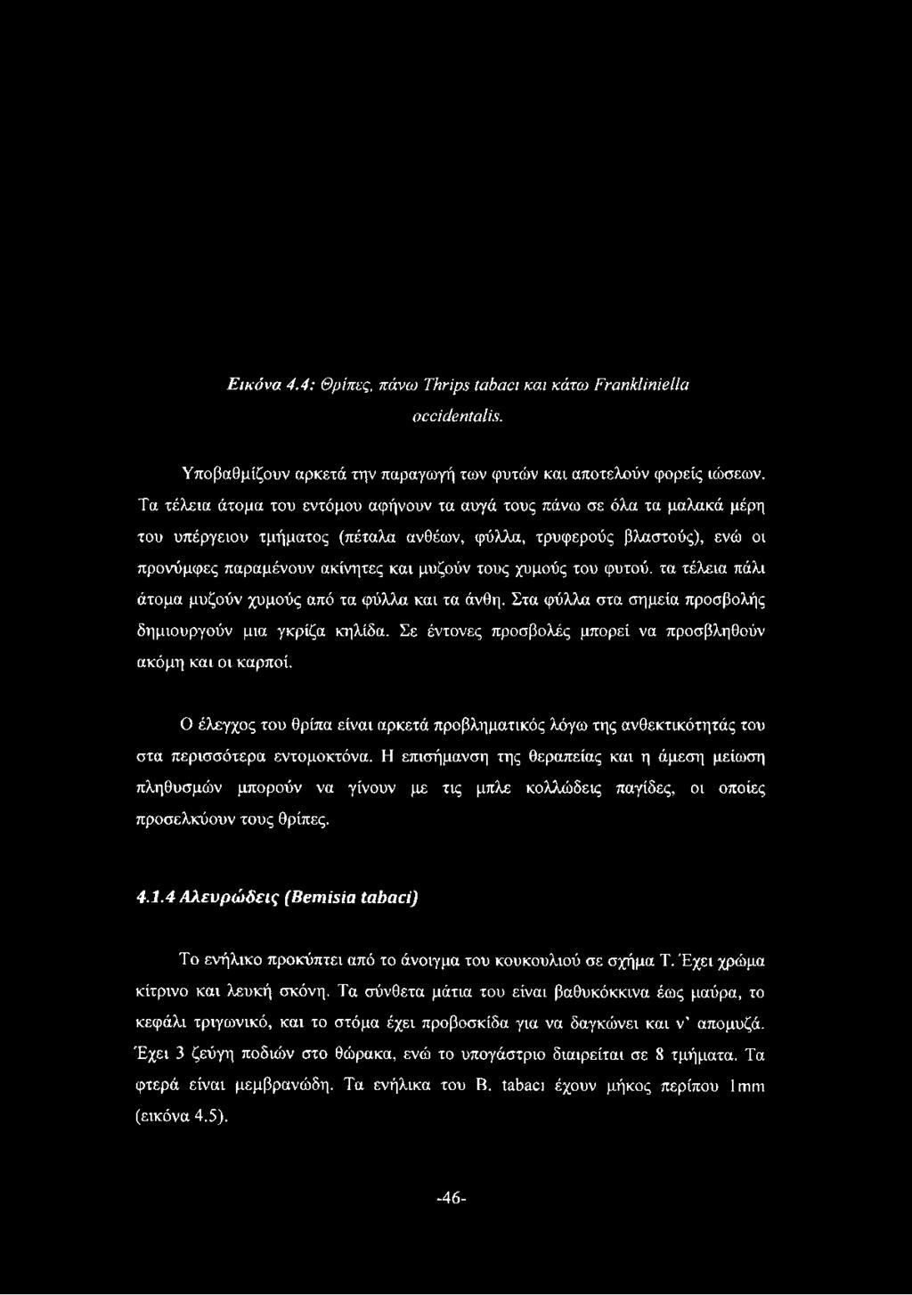 χυμούς του φυτού, τα τέλεια πάλι άτομα μυζούν χυμούς από τα φύλλα και τα άνθη. Στα φύλλα στα σημεία προσβολής δημιουργούν μια γκρίζα κηλίδα.