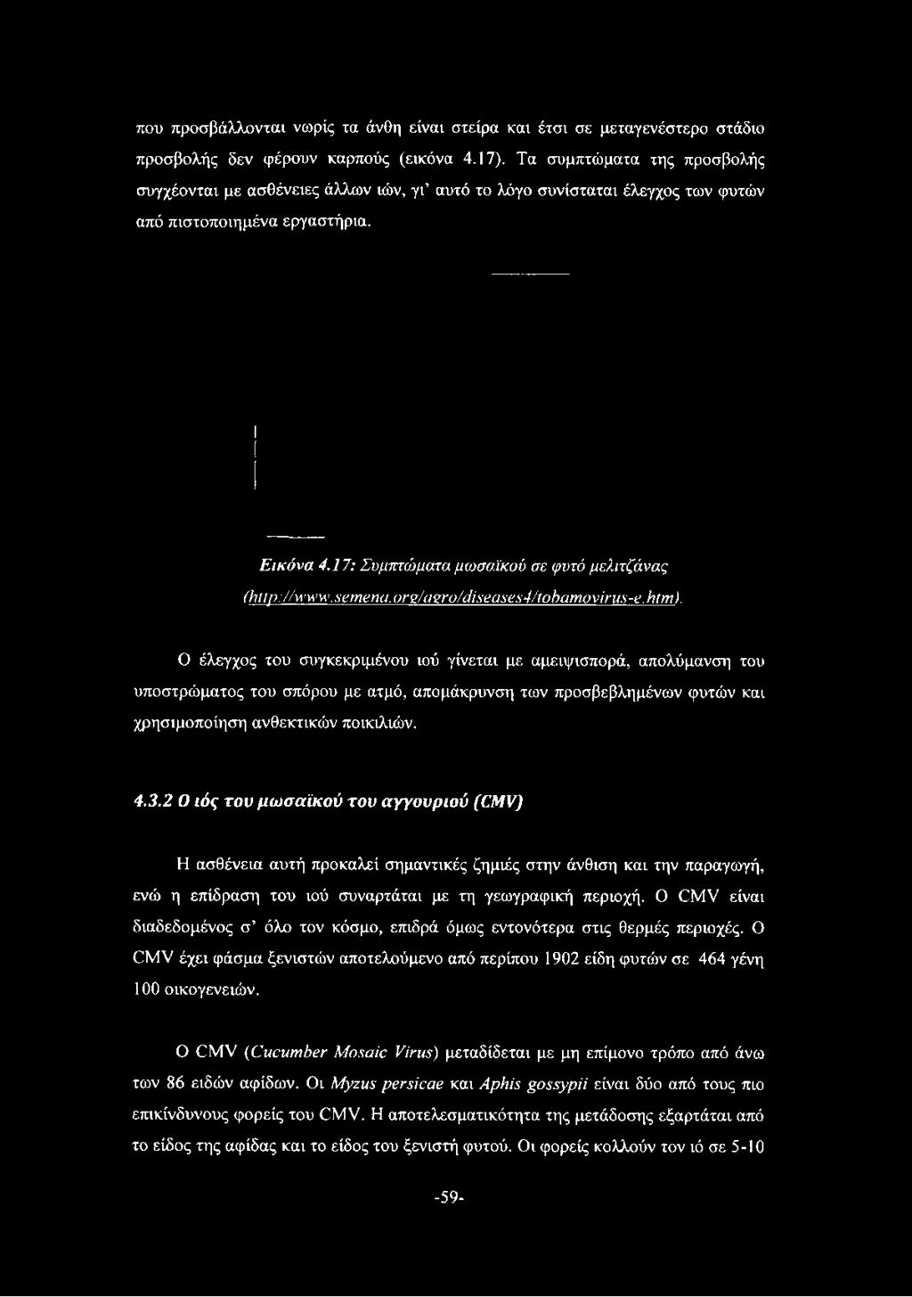 17: Συμπτώματα μωσαϊκού σε φυτό μελιτζάνας (http: //www, semena. orz/aero/diseases4/tobamovirus-e. htm).