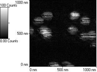 Localization accuracy of single molecules: experiment 5.5.2 Single molecule imaging 2D Г+ /8 3.;+7./:/ 34/.036/78 +8 218 /9 8 +8/ 3-+ +8 32+--96+- 30 7 21 / 3 /-9 /7 28 /46/7/2-/307 3823 7/+2.