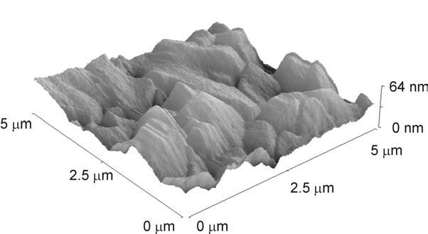 Shear force microscopy in liquid 196/ $34316+4 30+22/+ /.13. 2;+8/6%20 8/6/.Г/ -/48036 79,86+-8 3230+786+ 1 8 2/+8/+- 7-+2 2/$ / 2/06/59/2- ;+7 8 /" #23 7/ 28 / +1/ 7 2 2 196/ Г. 00/6/2813.