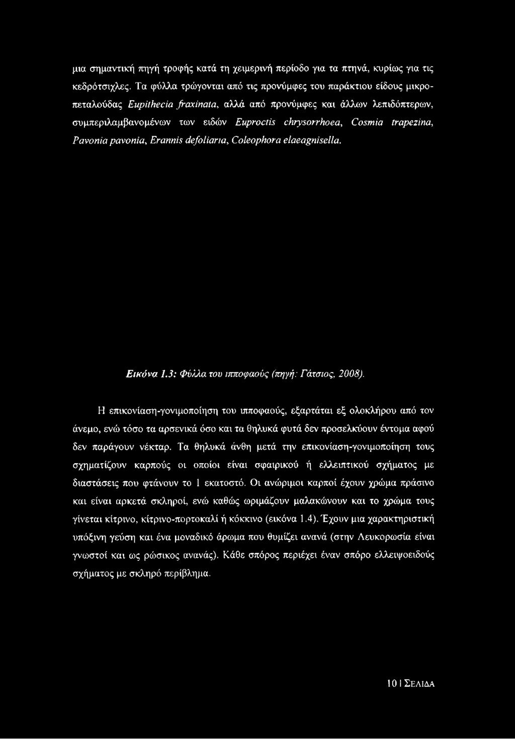 μια σημαντική πηγή τροφής κατά τη χειμερινή περίοδο για τα πτηνά, κυρίως για τις κεδρότσιχλες.