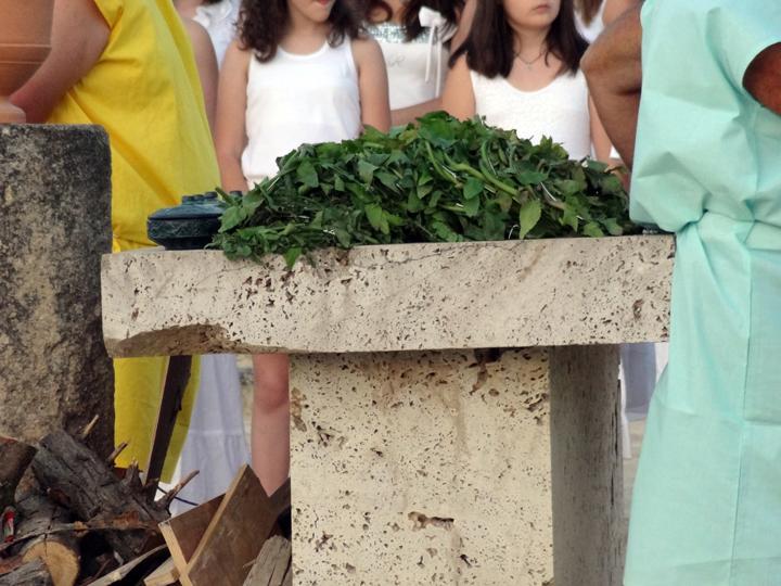 Τα στεφάνια από αγριοσέλινο, το τελικό σύµβολο νίκης των αρχαίων Νέµεων Αγώνων,