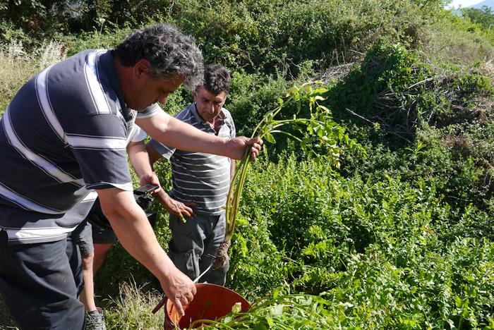 Ελλάδα και τον κόσµο, βοήθησαν στις προετοιµασίες µε το να σκουπίσουν τον αγωνιστικό