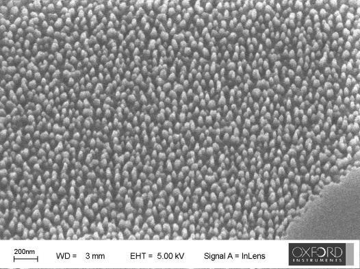Σχήμα 27: Εικόνες ηλεκτρονικής μικροσκοπίας (SEM) νανοδομών που προκύπτουν από μεταφορά σχήματος με εγχάραξη πλάσματος, με χρήση θυσιαζόμνου