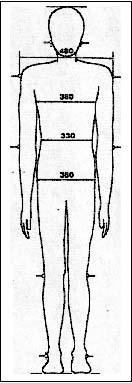 αποτελούν: Τις κύριες ανθρωπομετρικές διαστάσεις του ανθρώπινου σώματος. To άνω μέρος της κεφαλής μέχρι την άκρη της σιαγώνας.. Η άκρη της σιαγώνας μέχρι το κάτω μέρος του λαιμού. 3.