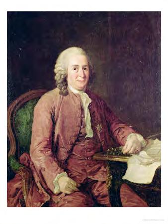 Το 1735 ο Σουηδός φυσιοδίφης Carl Linneus (1707-1778)