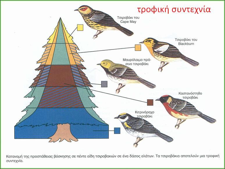 Μετατόπιση χαρακτήρα Για την