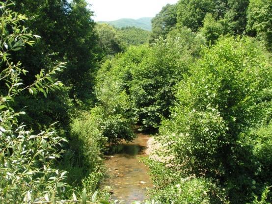 διοχετεύουν με μια φυσική αειφορική διαχείριση στις λίμνες και τα ποτάμια