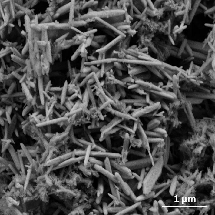 Εικόνα 4.2 Κρύσταλλοι SrTe.Εικόνα SEM.