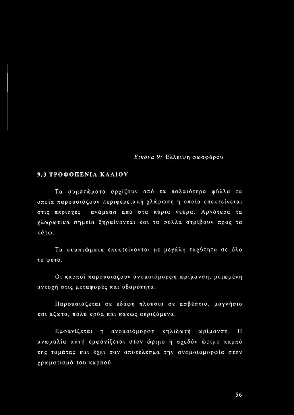 επεκτείνεται στις περιοχές ανάμεσα από στα κύρια νεύρα.