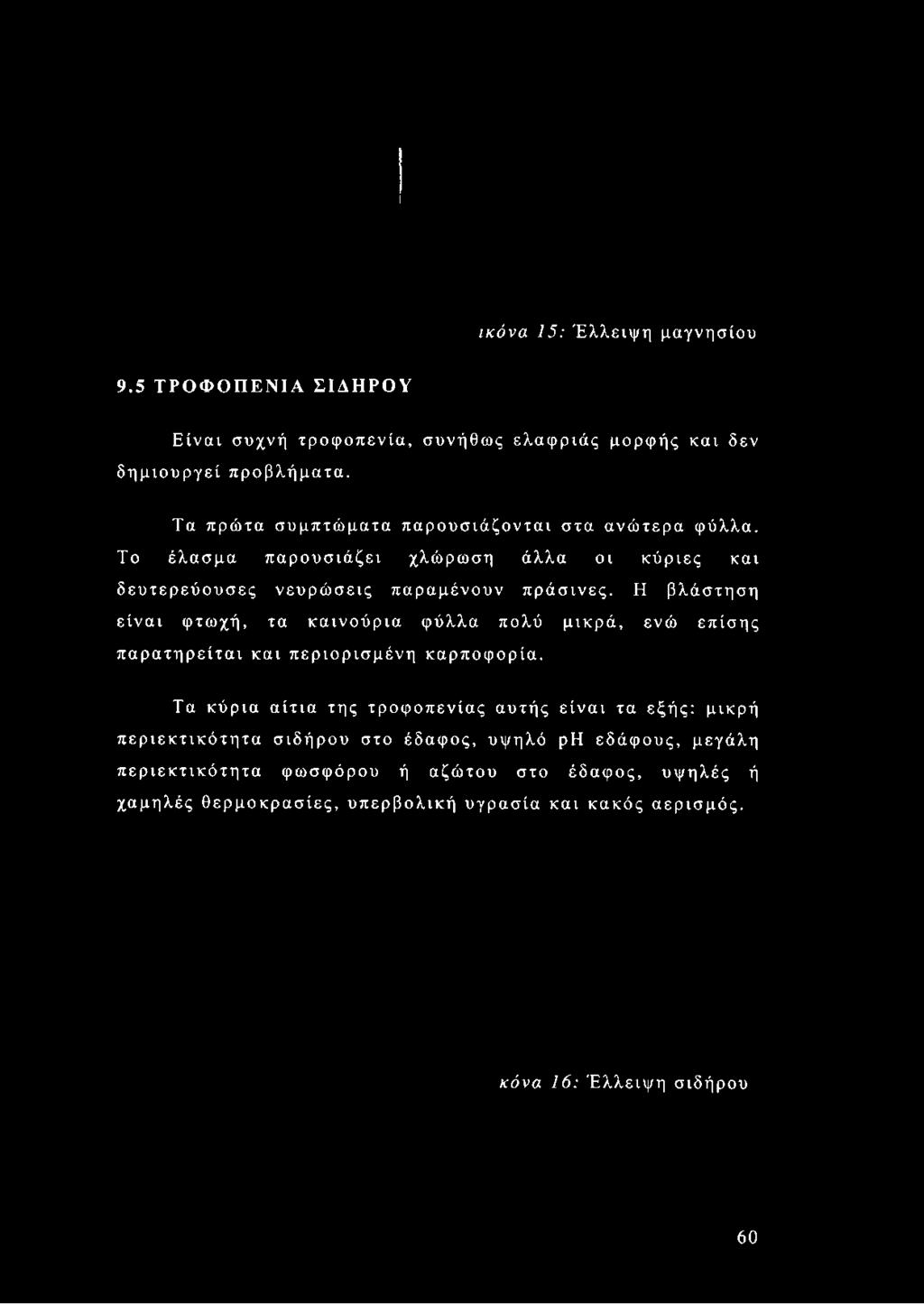 και δεν προβλήματα. Τα πρώτα συμπτώματα παρουσιάζονται στα ανώτερα φύλλα.