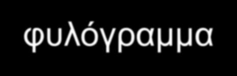 Φυλογενετικά Δέντρα 7/8 Το μήκος των κλαδιών δεν έχει νόημα (κλαδόγραμμα) είναι