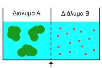 15 όπου Ψ=-π + Ρ + G π, η συγκέντρωση του διαλύματος, P, η πίεση, και G, η βαρύτητα.