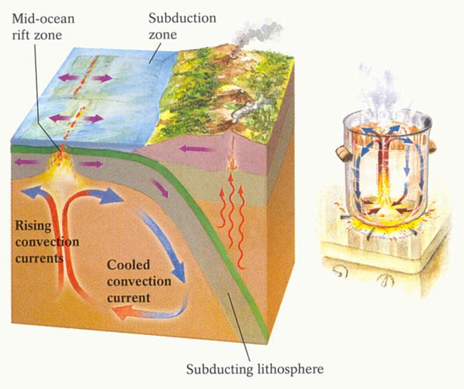 convection cells.