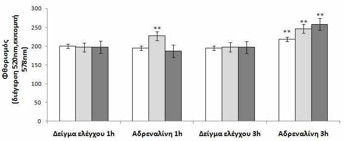 Αποτελέσματα Διάγραμμα 53. Προσδιορισμός της φαγοκυττάρωσης των οξειδωμένων LDL χοληστερολών από μονοκύτταρα που επωάστηκαν παρουσία αδρεναλίνης για 1 (1h) και 3 ώρες (3h).