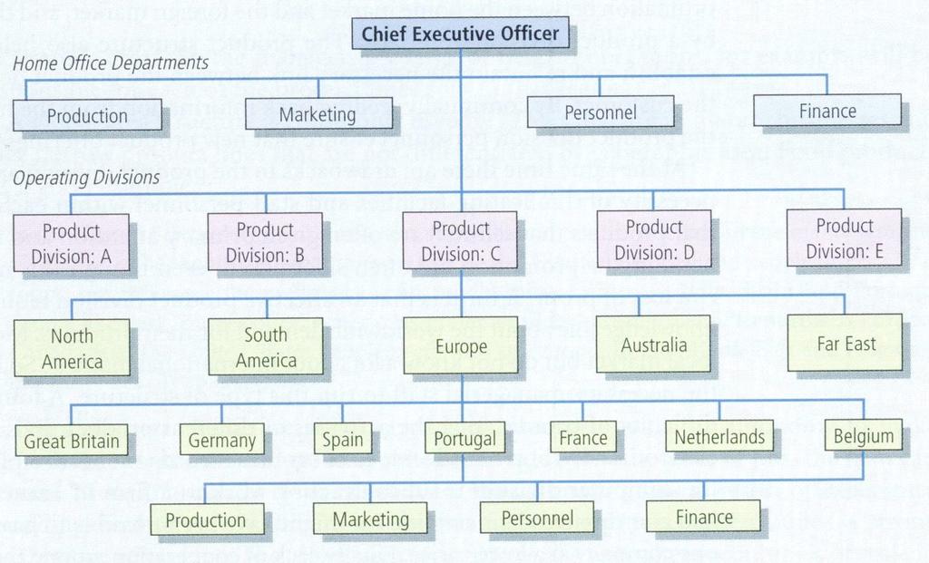 Global product structure Είναι ο τύπος δόμησης σύμφωνα με τον οποίο οι εγχώριες επιχειρησιακές μονάδες