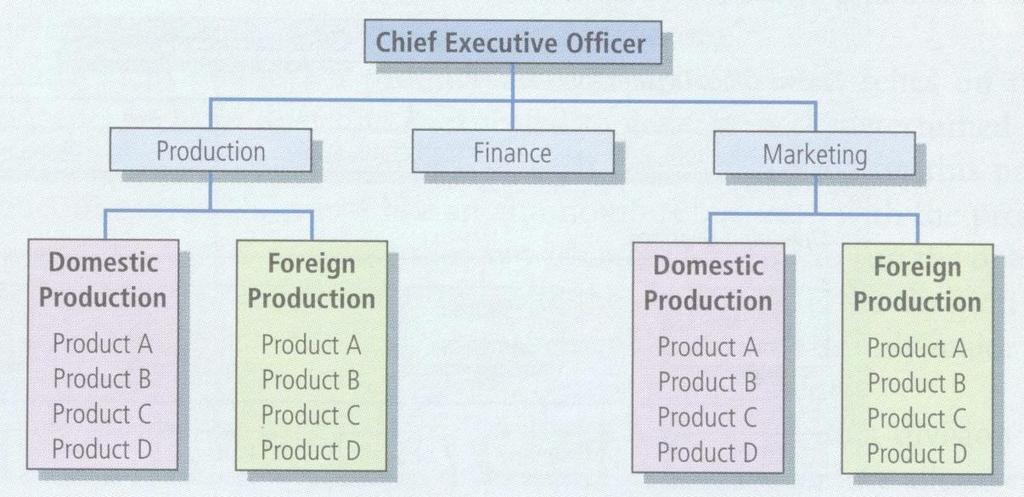 Global functional structure Ο τρόπος δόμησης σύμφωνα με τον οποίο το κάθε λειτουργικό τμήμα είναι υπεύθυνο για όλα όσα αφορούν τον τομέα ευθύνης του, είτε σε εθνικό είτε σε διεθνές επίπεδο.