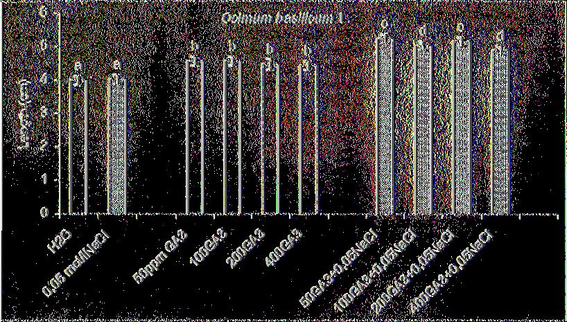 αύξηση του μήκους των φυταρίων του βασιλικού, συγκριτικά με υπόστρωμα 0, 05πιο1/1 Ν π α (Εικ. 24). Εικ. 24: Επίδραση του NaCl και του GA3 στο μήκος φυταρίων (±s.e.) του βασιλικού (Ocimum basilicum L.