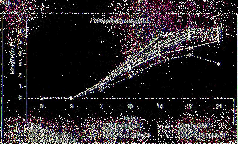 ) Επίδραση 0 (control) Η2Ο, 50, 100, 200, 400ppm GA3, 0, 05mol/l NaCl, 50ppm GA3+ 0, 05mol/l NaCl, looppm GA3, +0, 05mol/l NaCl, 200ppm G A 3, +0, 05mol/l NaCl, 400ppm GA3 +0, 05mol/l NaCl στο μήκος