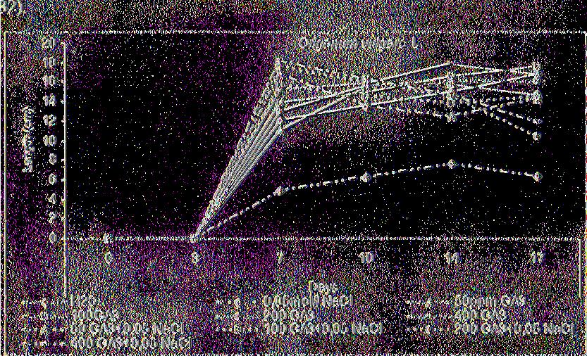 ) Επίδραση 0 (control) Η2Ο, 50, 100, 200, 400ppm GA3, 0,05mol/l NaCl, 50ppm GA3+0,05mol/l NaCl, looppm GA3+0,05mol/l NaCl, 200ppm GA3+0,05mol/l NaCl, 400ppm GA3+0,05mol/l NaCl στο μήκος των φυταρίων