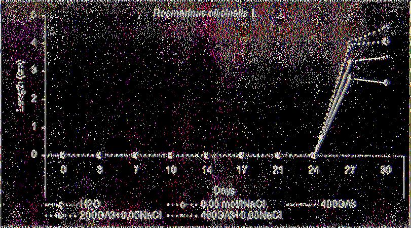 ) Επίδραση 0 (control) Η20, 50, 100, 200, 400ppm GA3, 0,05mol/l NaCl, 50ppm GA3+ 0,05mol/l NaCl, looppm GA3 +0,05mol/l NaCl, 200ppm GA3_ +0,05mol/l NaCl, 400ppm GA3j +0,05mol/l NaCl στο μήκος των