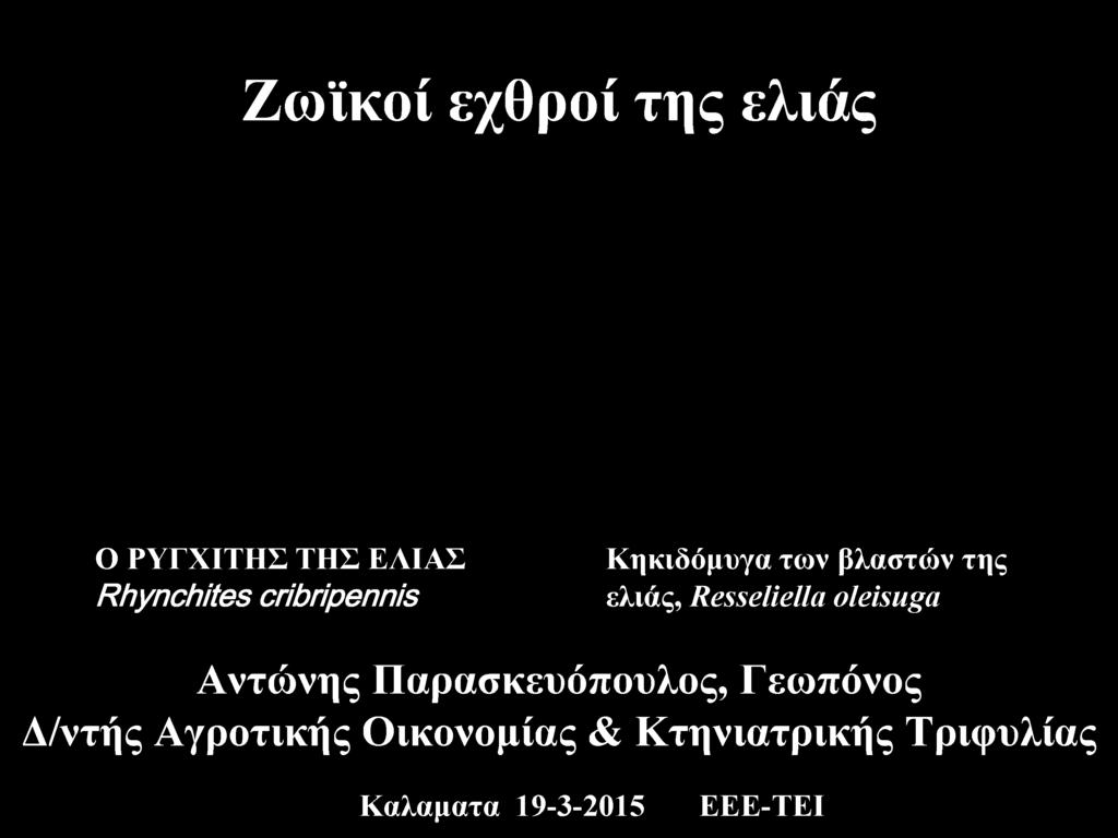 oleisuga Αντώνης Παρασκευόπουλος, Γεωπόνος Δ/ντής Αγροτικής