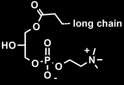 Λυσοφωσφατιδυλοχολίνη