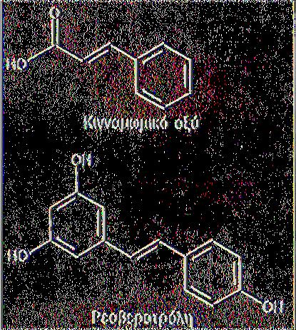 Βρίσκονται σε μια μεγάλη γκάμα φυτών και συντίθενται από παράγωγα του κινναμωμικού οξέως.