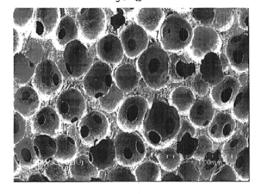 Carbon felt Ηλεκτρόδια άνθρακα: υποβάθμιση λόγω (α) των ριζών, όπως το υπεροξείδιο, που σχηματίζονται από τον ηλεκτρολύτη ή το