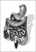 Η NAFLD πιθανά σχετίζεται και με την εντερική βακτηριακή υπερανάπτυξη και την παραγωγή αιθανόλης, ακεταλδεΰδης και ενδοτοξινών.